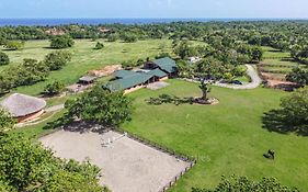 Sea Horse Ranch By Adp-Management